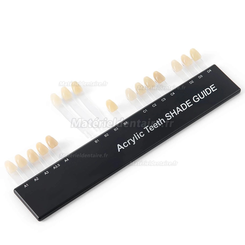 Nuancier pour dents en acrylique dentaire - Guide des teintes pour dents blanchies - 2 couches - 16 teintes